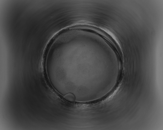 X0000095920783200801111234