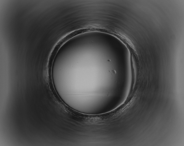 X0000095920784200801111234