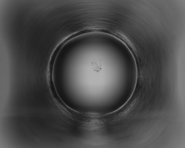 X0000095920787200801111234