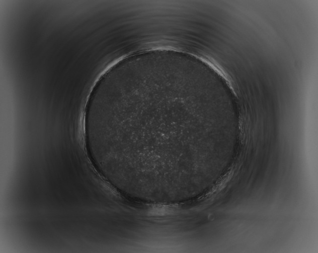 X0000095920790200801111234