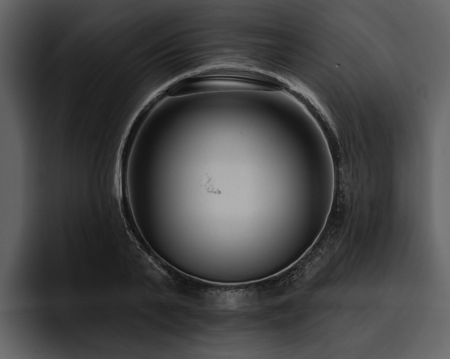 X0000095920791200801111234
