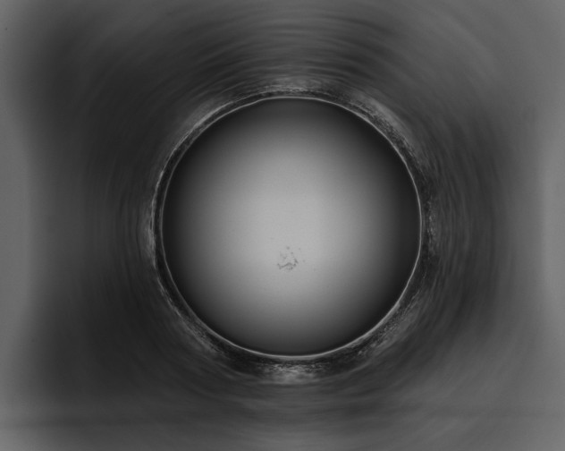 X0000095920794200801111234