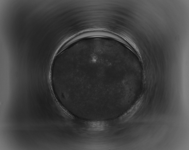 X0000095920797200801111234