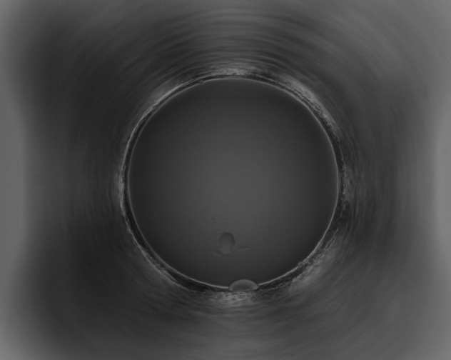 X0000095920802200801111234