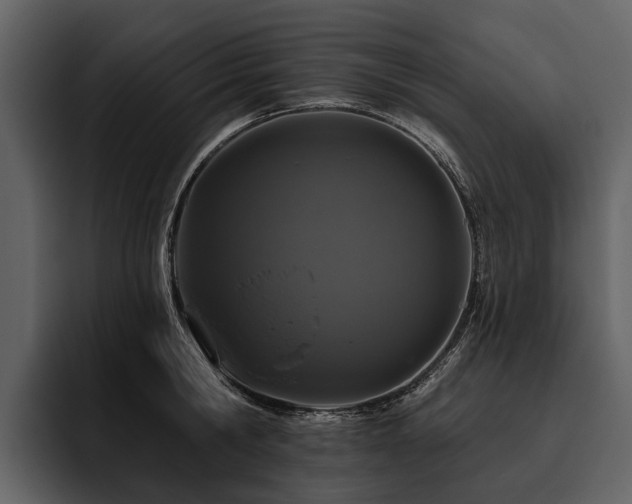 X0000095920806200801111234