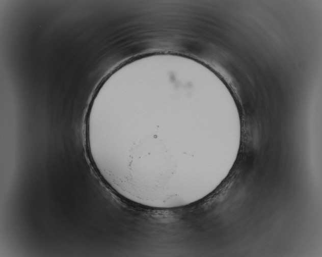 X0000095920807200801111234