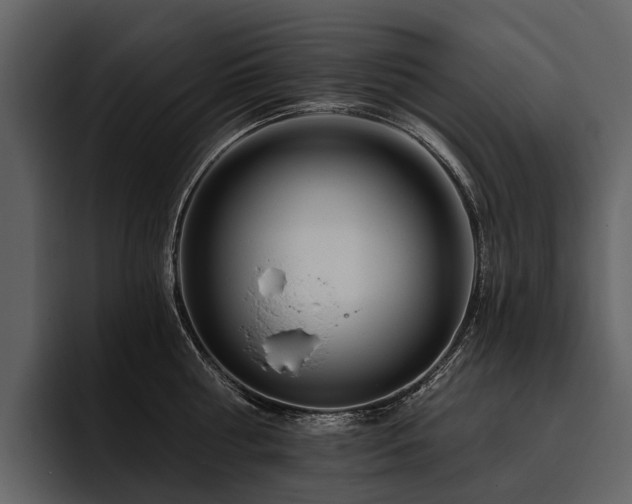 X0000095920810200801111234