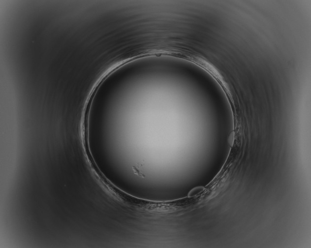 X0000095920811200801111234