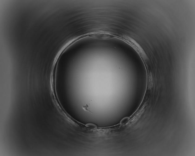 X0000095920812200801111234