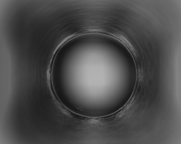 X0000095920814200801111234