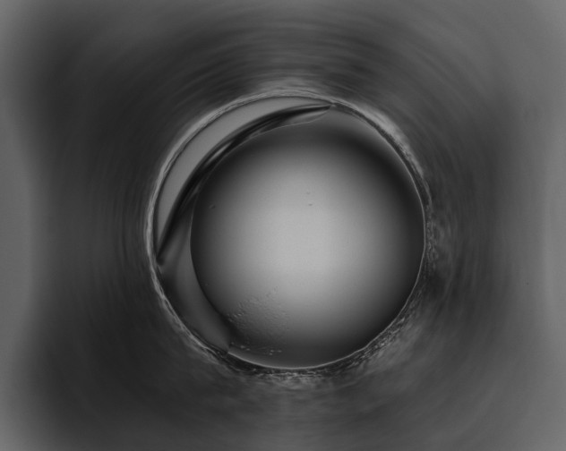 X0000095920815200801111234