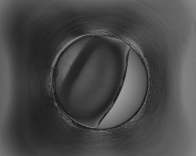 X0000095920816200801111234