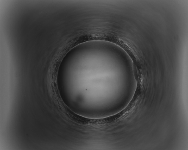 X0000095920817200801111233