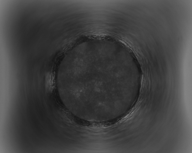 X0000095920818200801111233