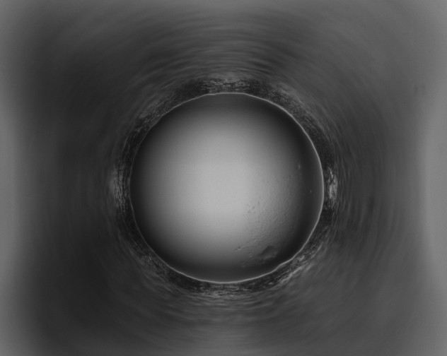 X0000095920819200801111233
