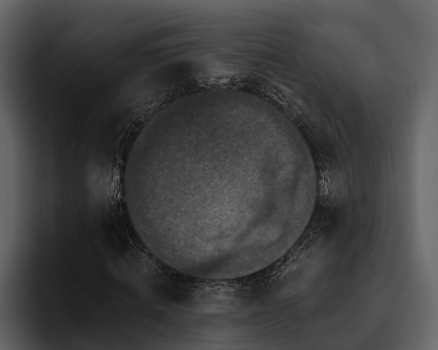 X0000095920820200801111233