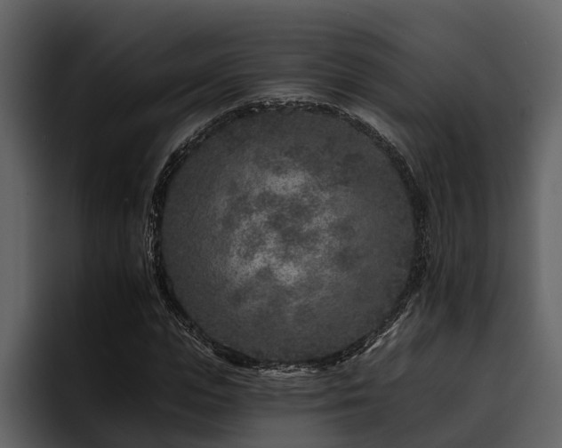 X0000095920823200801111233