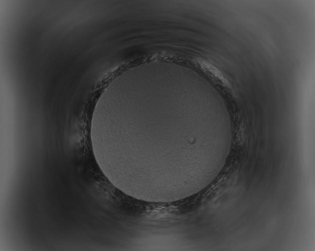 X0000095920824200801111233