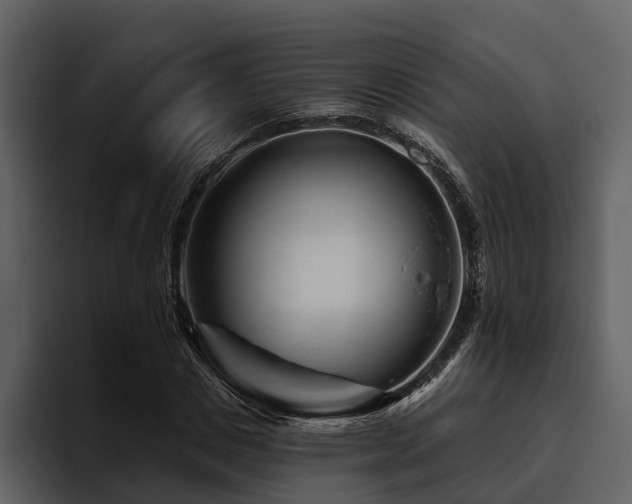 X0000095920825200801111233