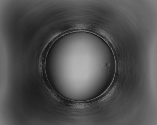 X0000095920827200801111233