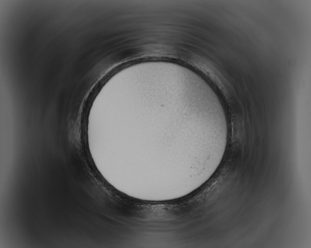 X0000095920828200801111233