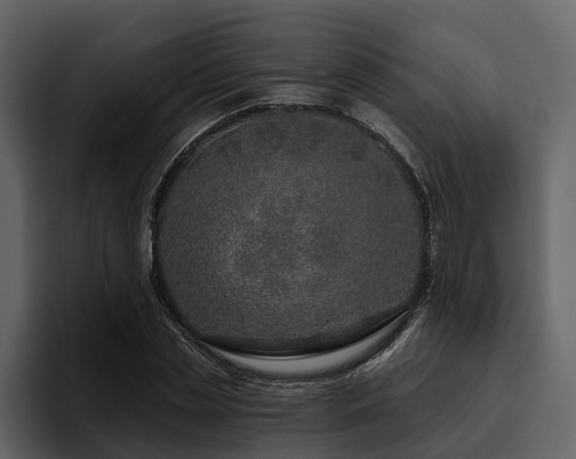 X0000095920829200801111233