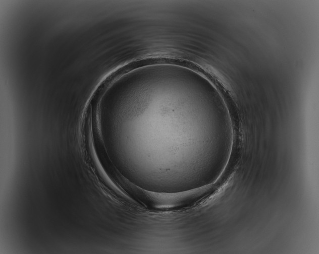 X0000095920830200801111233