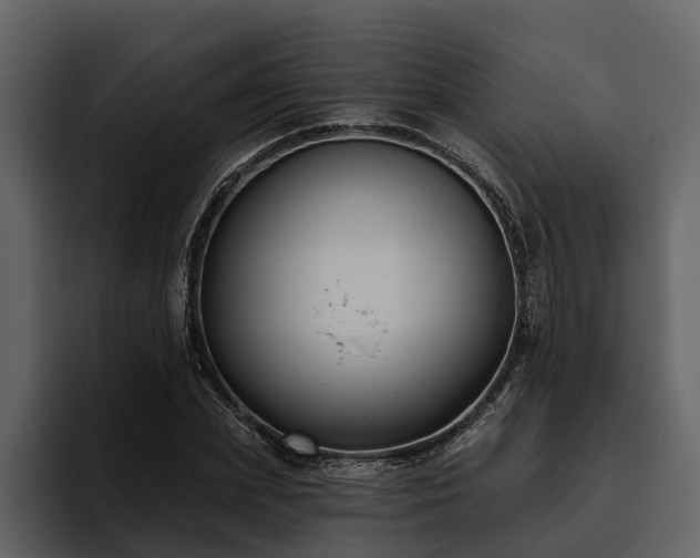 X0000095920831200801111233