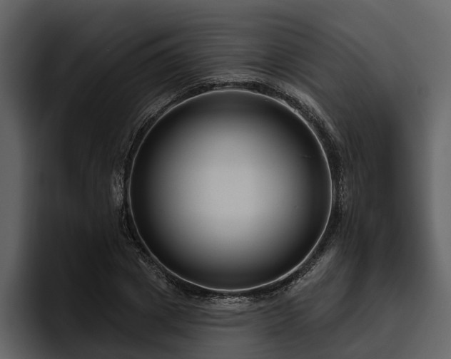 X0000095920833200801111233