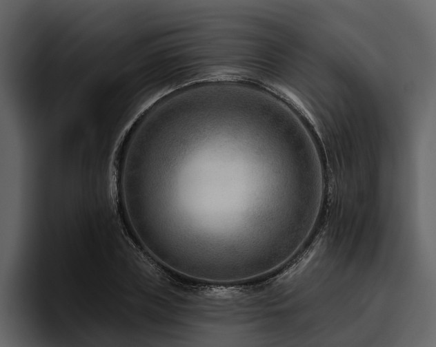 X0000095920835200801111233