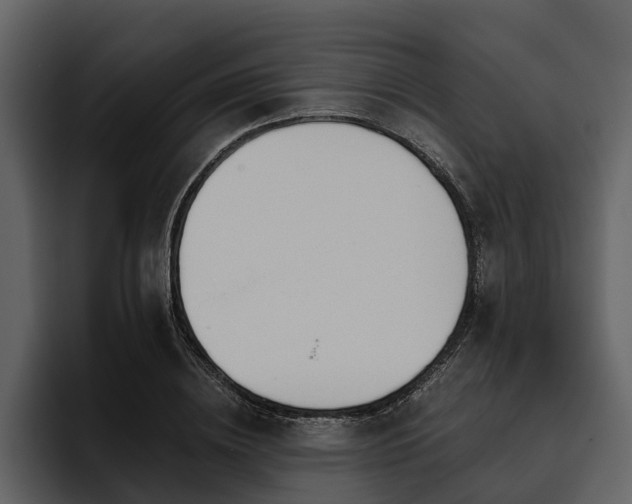 X0000095920836200801111233