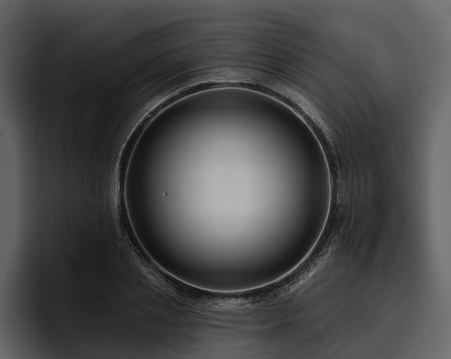 X0000095920837200801111233