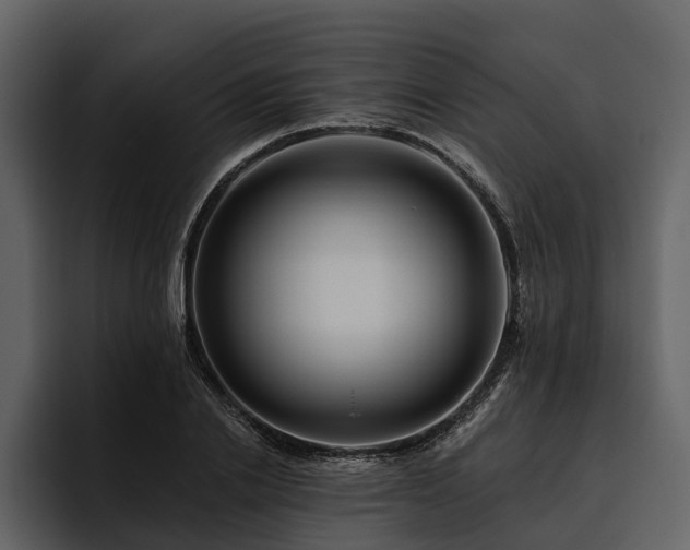 X0000095920838200801111233