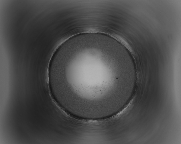 X0000095920839200801111233