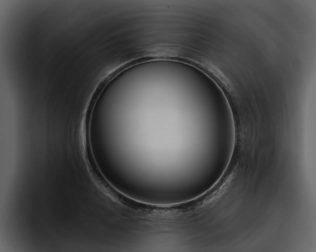 X0000095920840200801111233
