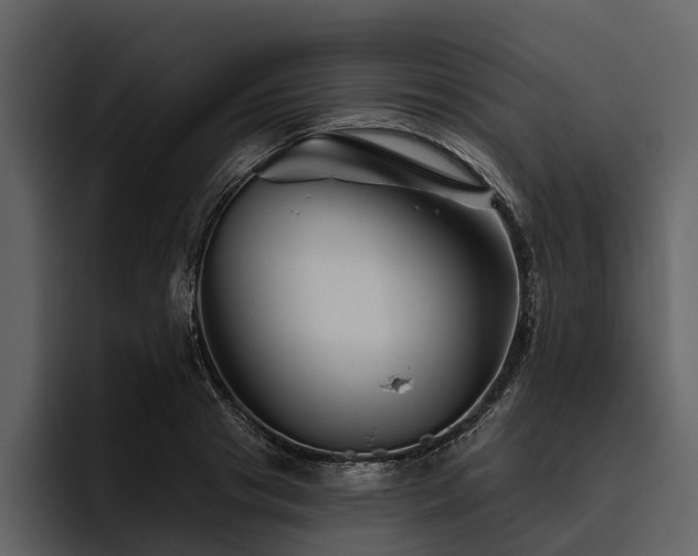 X0000095920841200801111233