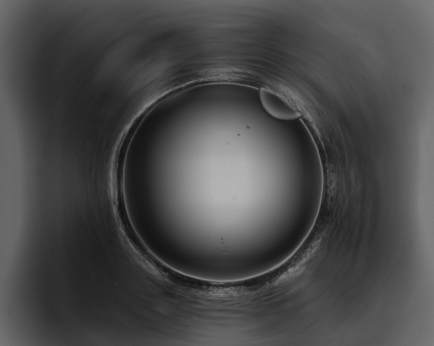 X0000095920843200801111233
