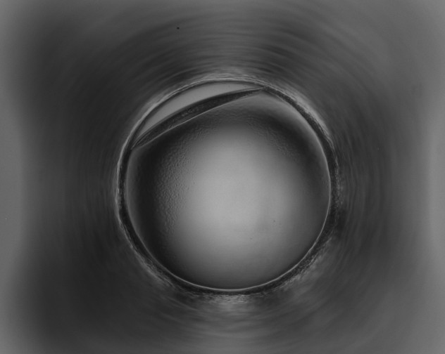 X0000095920845200801111233