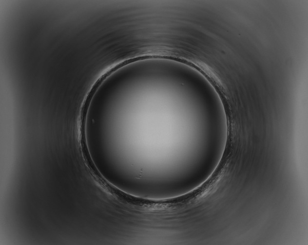X0000095920846200801111233