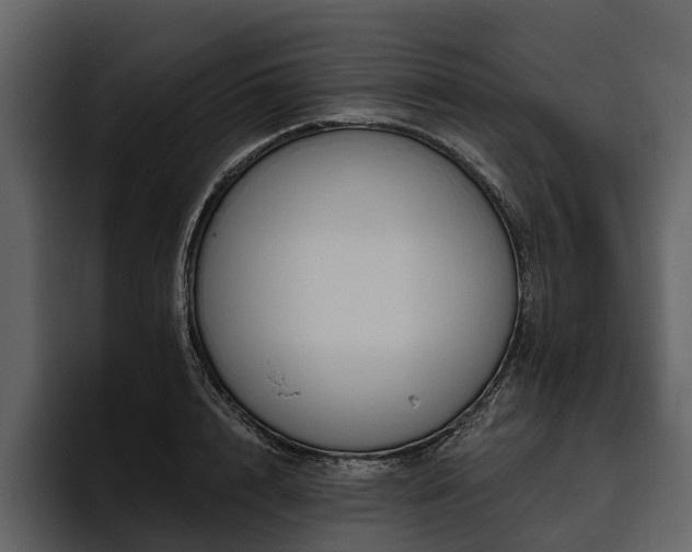 X0000095920848200801111233