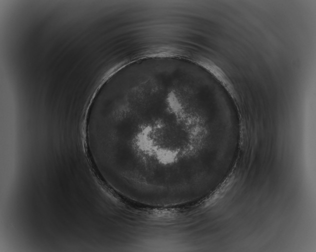 X0000095920850200801111234
