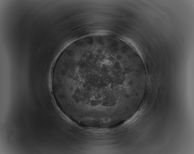 X0000095920851200801111234