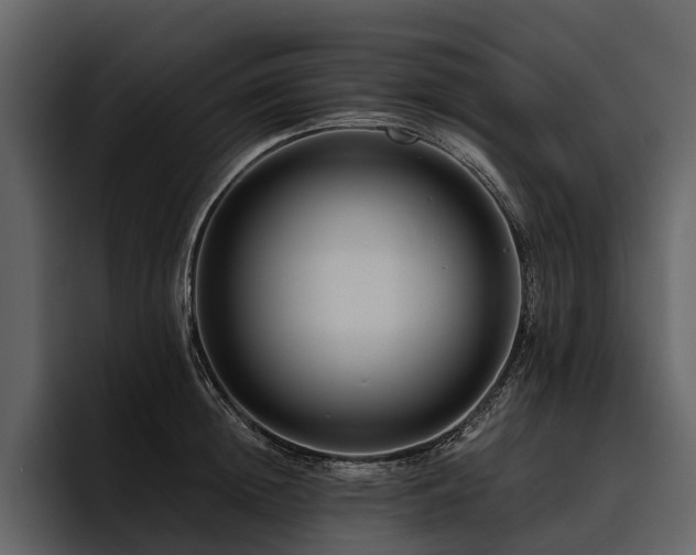 X0000095920852200801111234