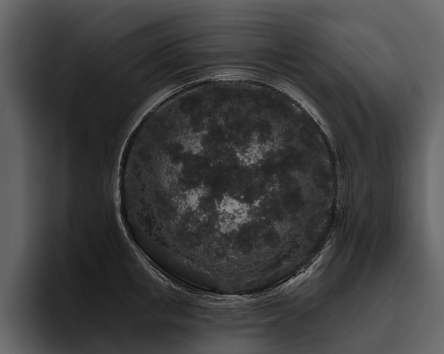 X0000095920853200801111234