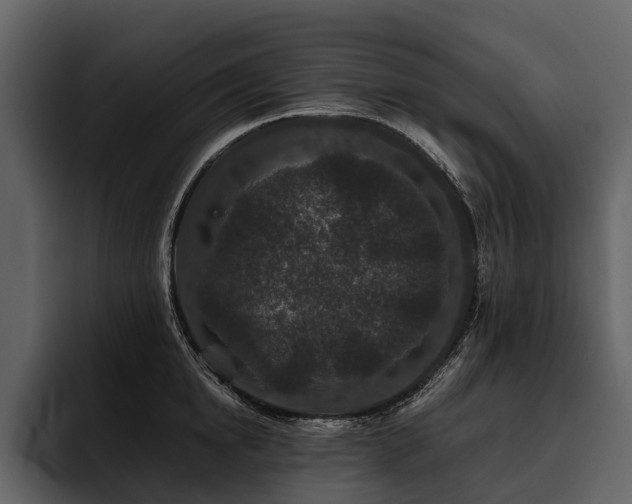 X0000095920854200801111234