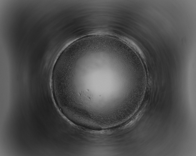 X0000095920855200801111234