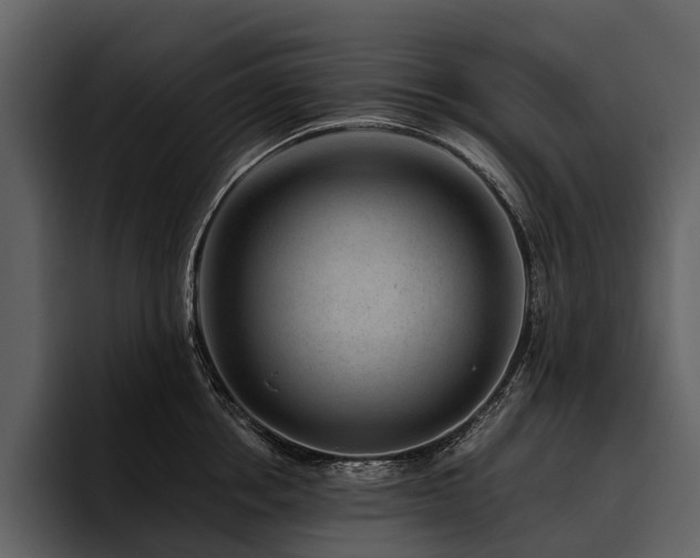 X0000095920858200801111234