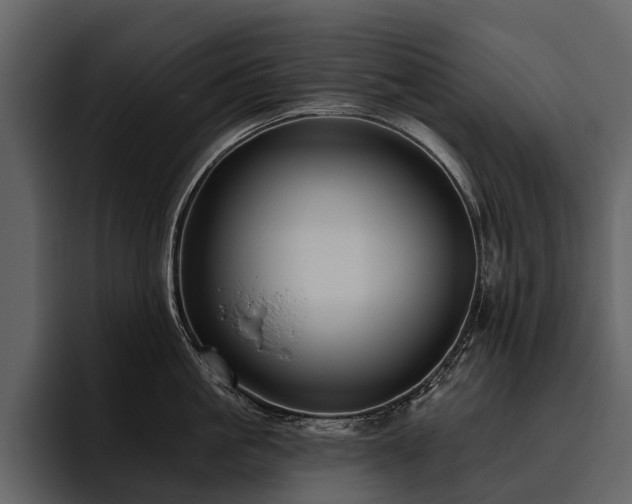 X0000095920861200801111234