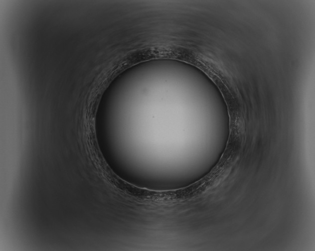 X0000095920865200801111233