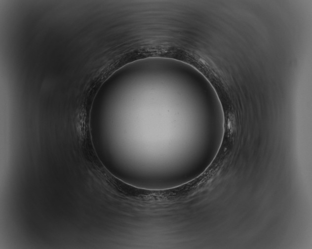 X0000095920867200801111233